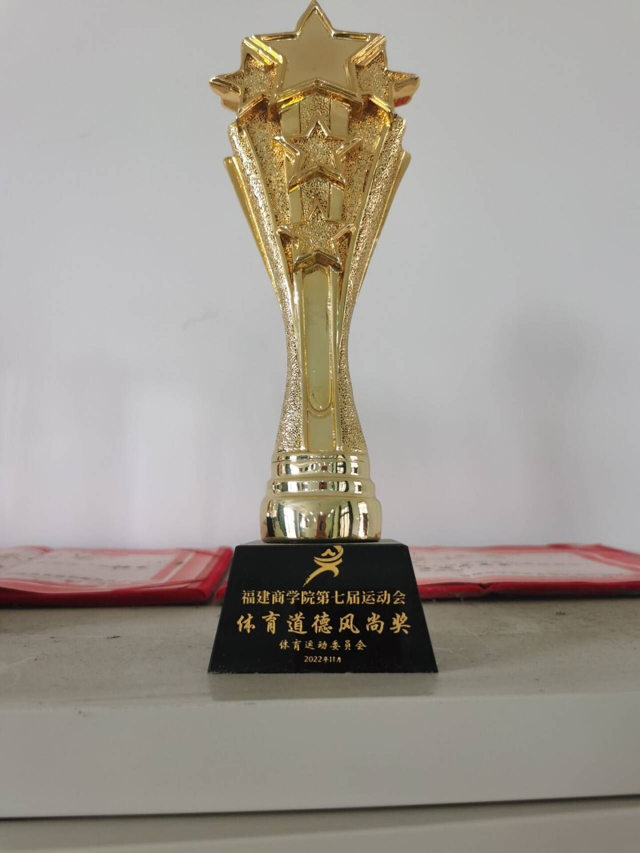 太阳集团第七届运动会体育道德风尚奖